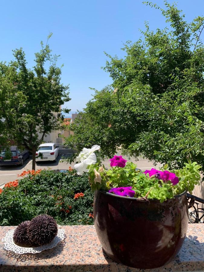 Apartment Mirjana Makarska Buitenkant foto